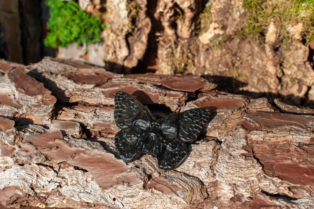 acherontia ossidiana dorata